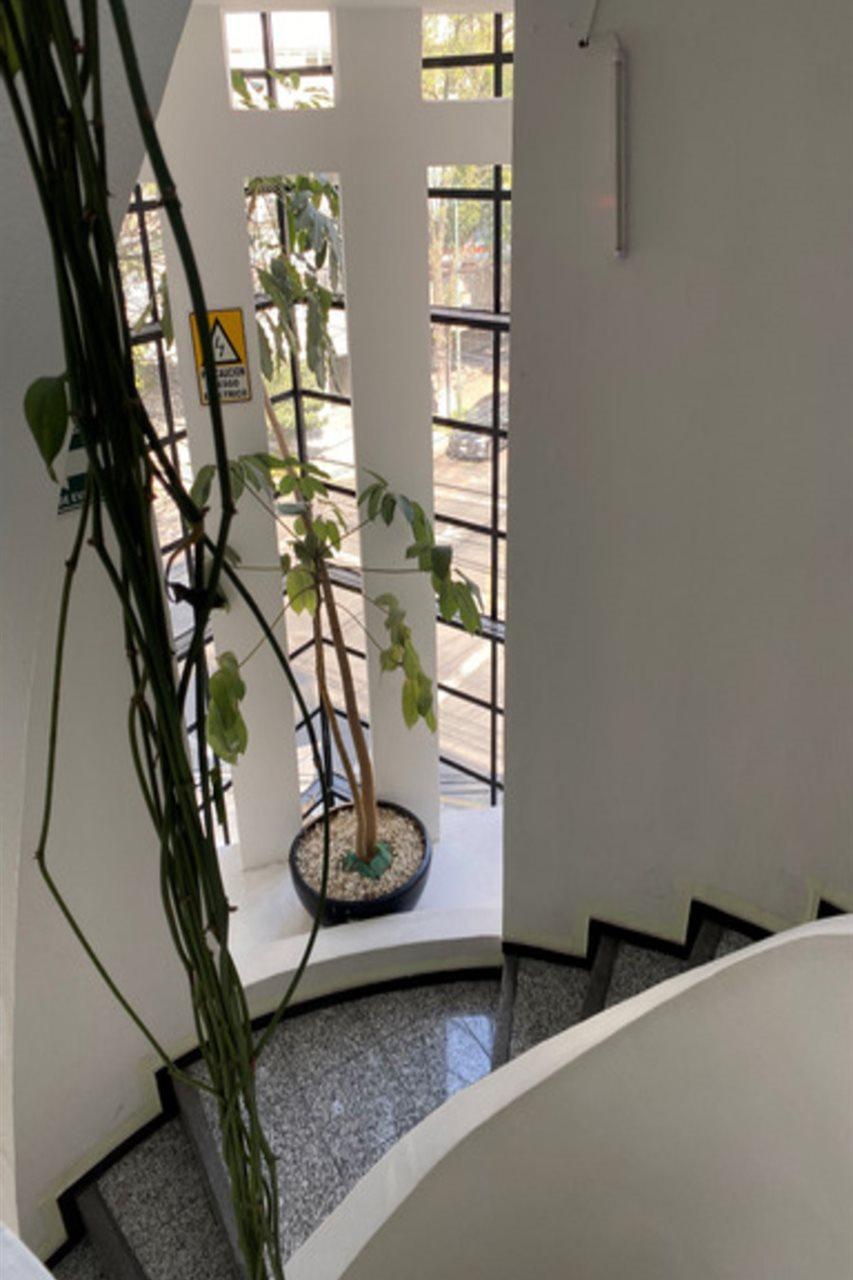 Flowsuites Polanco Ciudad de México Exterior foto